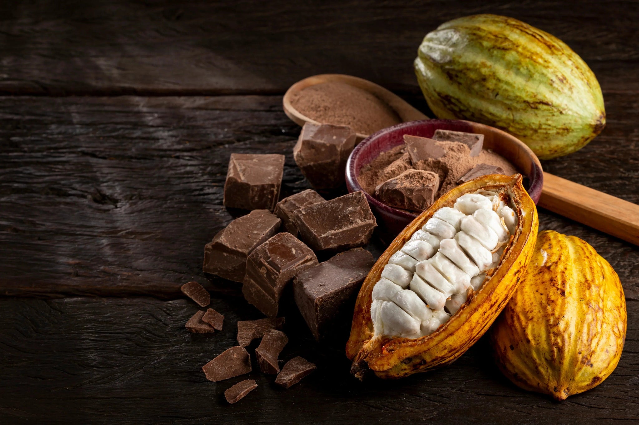 Delicious Journey Through the Origins of Chocolate